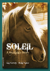 Soleil book 1